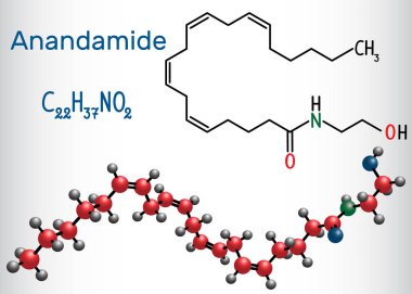 Anandamide molecule. It is endogenous cannabinoid neurotransmitter. Structural chemical formula and molecule model. clipart