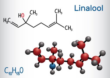Linalool molekülü. Yapısal kimyasal formül ve molekül modeli