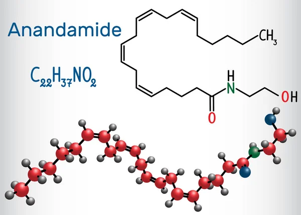 Anandamid molekülü. Bu endojen kannabinoid nörotransmitter olduğunu. Yapısal kimyasal formül ve molekül modeli.