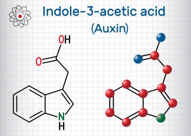 Auxin, Indole-3-asetik asit Iaa . Kafesteki kağıt parçası. Yapısal kimyasal formül ve molekül modeli