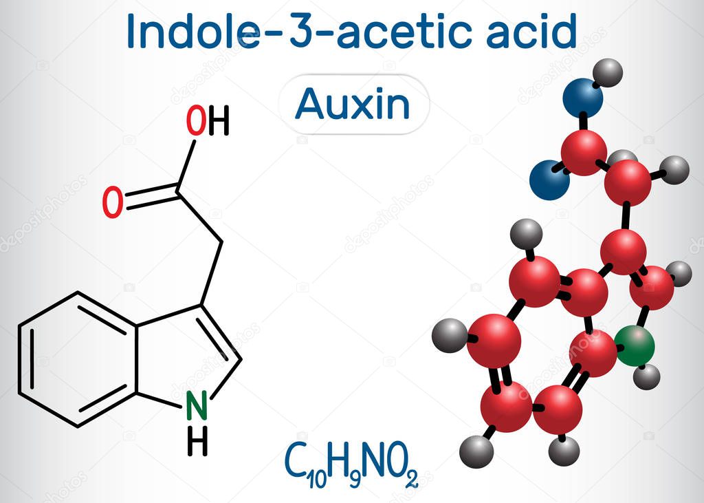 Auxin, Indole-3-acetic acid IAA . Structural chemical formula and molecule model