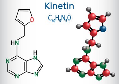 Kinetin N6-furfuryladeninmolekülü. Bitki hormonudur. Yapısal kimyasal formül ve molekül modeli