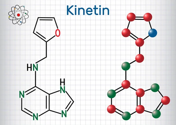 Molécula de cinetina N6-furfurfuryladenine. Es hormona de la planta. Fórmula química estructural y modelo de molécula. Hoja de papel en una jaula — Vector de stock