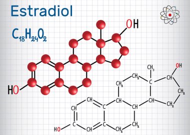 Estradiol E2 östrojen kadın seks hormonu - yapısal kimyasal formül ve molekül modeli. Kafesteki kağıt levha