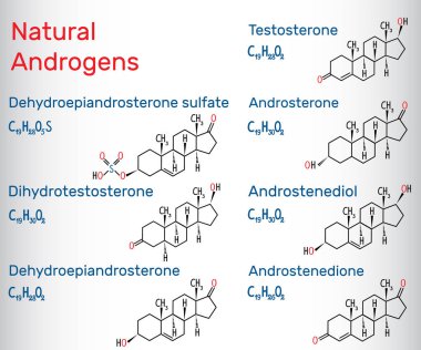 Natural androgens steroid hormone - structural chemical formula and molecule model clipart