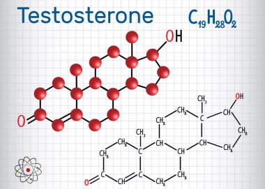 Testosterone anabolic steroid. - structural chemical formula and molecule model. Sheet of paper in a cage clipart