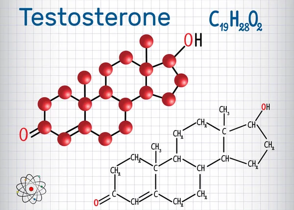 Testosterona esteroide anabólico. - fórmula química estructural y modelo de molécula. Hoja de papel en una jaula — Vector de stock