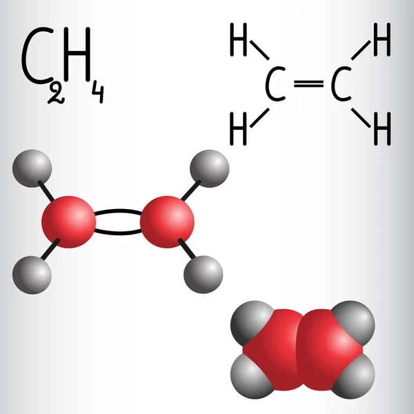 Fórmula química e modelo de molécula de etileno C2H4 — Vetor de Stock