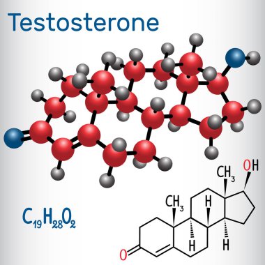 Testosterone anabolic steroid. - structural chemical formula and molecule model clipart
