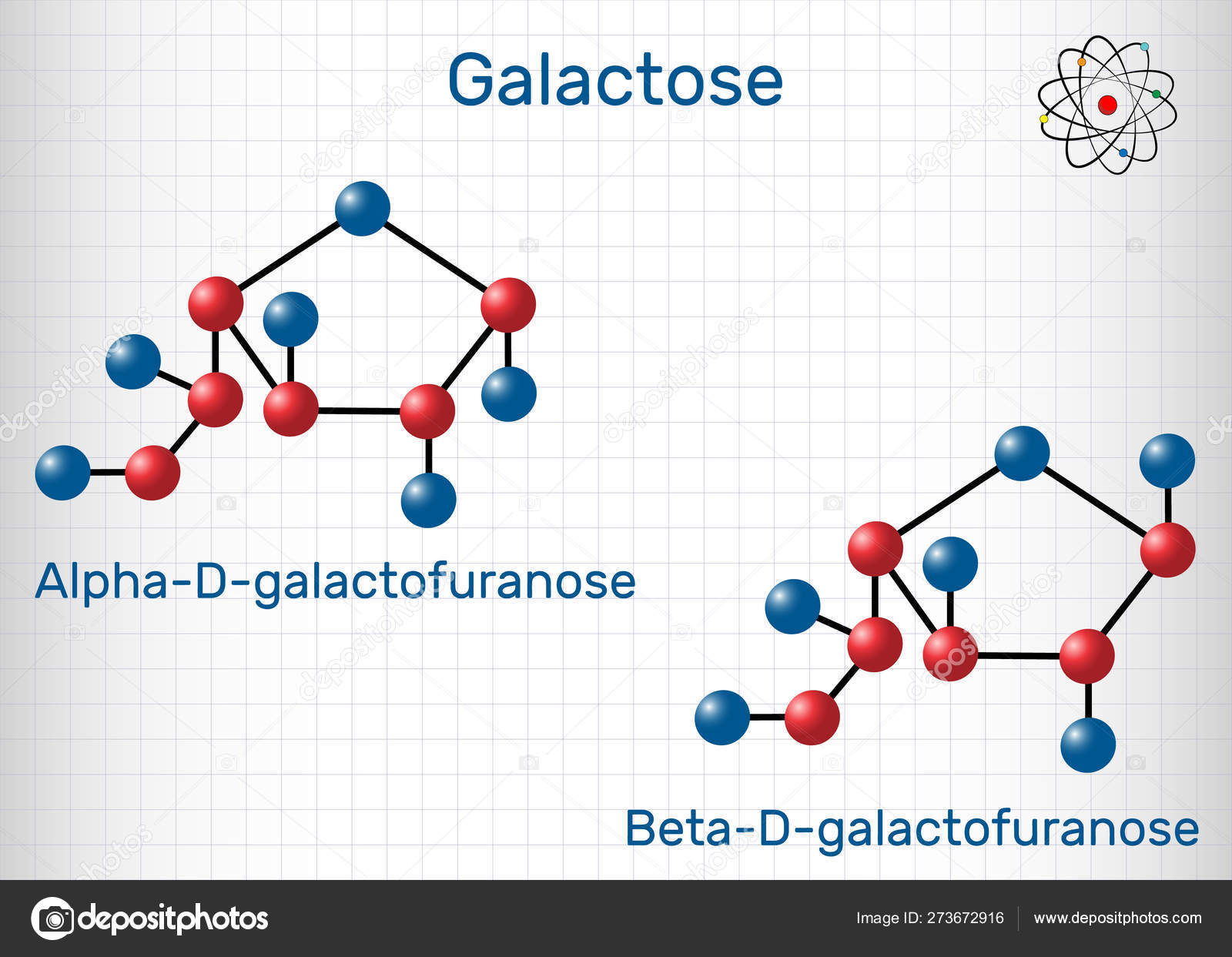 Галактоза, альфаД галактофураноза, бетаД
