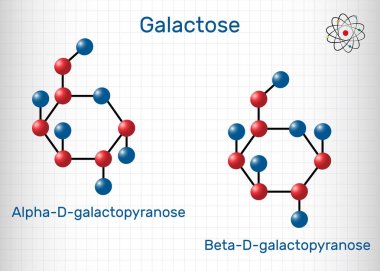 Galaktoz, alfa-D-galaktopiranose, beta-D-galaktopiranose, süt şekeri molekülü. Döngüsel form. Kafesteki kağıt parçası. Yapısal kimyasal formül ve molekül modeli.