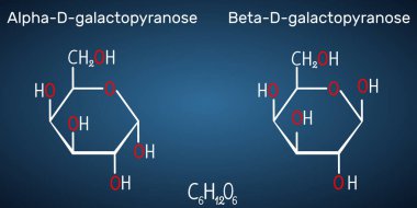 Galaktoz, alfa-D-galaktopiranose, beta-D-galaktopiranose, süt şekeri molekülü. Döngüsel form. Koyu mavi arka plan üzerinde yapısal kimyasal formül