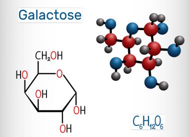 Galaktoz, alfa-D-galaktopiranose, süt şekeri molekülü. Döngüsel form. Yapısal kimyasal formül ve molekül modeli
