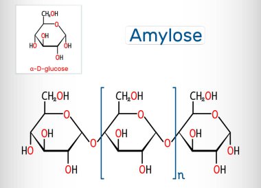 Amylose molecule. It is a polysaccharide and one of the two components of starch. Structural chemical formula clipart