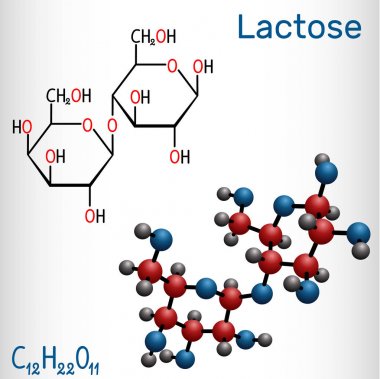 Laktoz, süt şekeri molekülü, bir disaccharide olduğunu. Yapısal kimyasal formül ve molekül modeli.