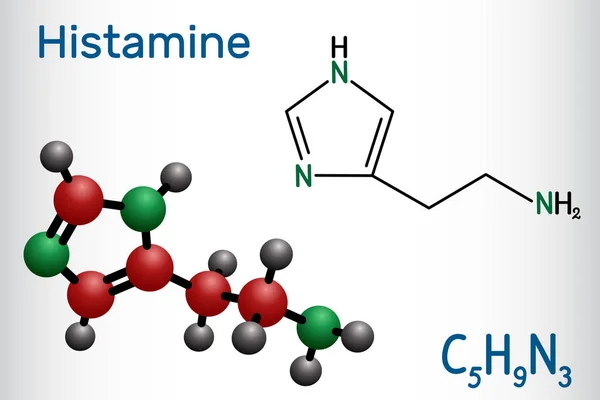 Molécula de histamina. Es amina, compuesto nitrogenado, estimulante de la secreción gástrica, vasodilatador y neurotransmisor de acción central. Fórmula química estructural y modelo molecular — Vector de stock