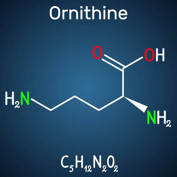 Ornitina molécula de aminoácidos no proteinogénicos, se utiliza en el ciclo de la urea. Fórmula química estructural sobre el fondo azul oscuro — Vector de stock