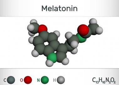 Melatonin molecule, hormone that regulates sleep and wakefulness. Chemical formula and molecule model. clipart