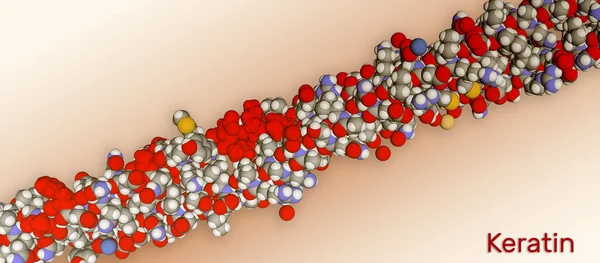 Structure of intermediate filaments of Keratin protein. It is one of a family of fibrous structural proteins