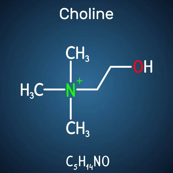 Molécula esencial de nutrientes similar a la vitamina de la colina. Es un constituyente de la lecitina. Fórmula química estructural sobre el fondo azul oscuro . — Archivo Imágenes Vectoriales