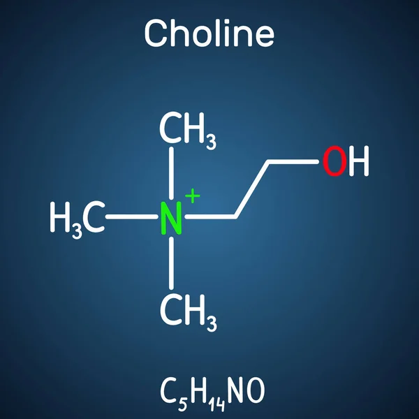 Kolin vitamini benzeri temel nutrien molekülü. Bu lesitin bir bileşenidir. Koyu mavi arka plan üzerinde yapısal kimyasal formül. — Stok Vektör