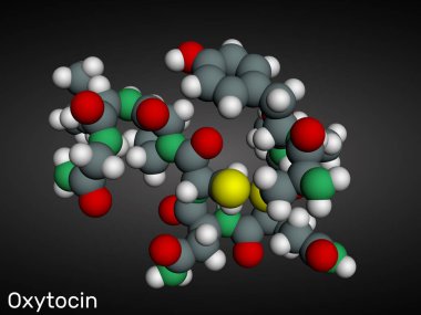 Oksitosin, Oxt, peptit hormonu ve nöropeptit molekülü. Yapısal kimyasal formül