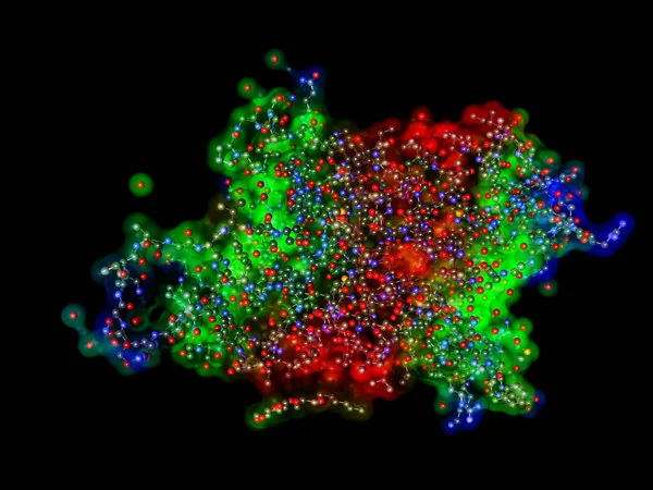 Аквапорин, интегральная мембранная молекула белка. Также называются водные каналы. Масштабные и палочные шары представлены полупрозрачными поверхностями — стоковое фото