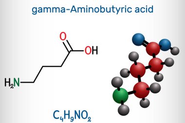 Gamma-Aminobutyric acid, GABA molecule. It is a naturally occurring neurotransmitter with central nervous system inhibitory activity. Structural chemical formula and molecule model. clipart