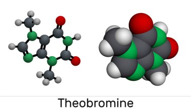Theobromine, dimethylxanthine, purine alkaloid C7H8N4O2 molekülü. Kakao fasulyesindeki ksentinin alkaloiti. Moleküler model. 3B görüntüleme