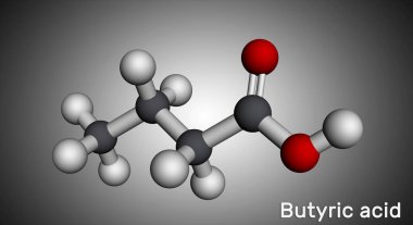 Butyric asit, butanoik asit molekülü. Butyrates veya butanoates tuz ve esterdir. Moleküler model. 3B görüntüleme