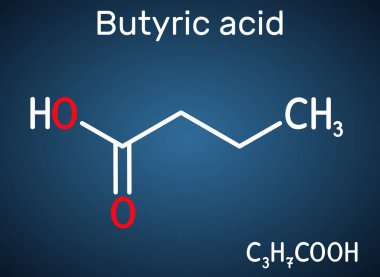Butyric asit, butanoik asit molekülü. Butyrates veya butanoates tuz ve esterdir. Koyu mavi arkaplanda yapısal kimyasal formül. Vektör illüstrasyonu