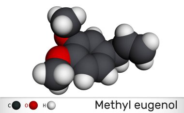 Metil Eugenol, allylveratrol, metilleugenol molekülü. Bu fenilpropene, bir tür fenilpropanoid. Tat alma aracı olarak, koku olarak, kemirgenlerde anestetik olarak kullanılır. Moleküler model. 3B görüntüleme