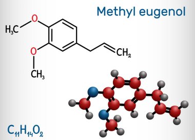 Metil Eugenol, allylveratrol, metilleugenol molekülü. Bu fenilpropene, bir tür fenilpropanoid. Tat alma aracı olarak, koku olarak, kemirgenlerde anestetik olarak kullanılır. Yapısal kimyasal formül ve molekül modeli. Vektör illüstrasyonu