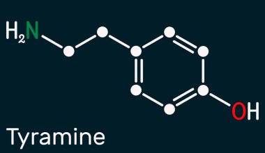 Tyramine, tyramin molekülü. Tyrosine 'den türetilmiş monoamin bileşiği. Koyu mavi arka planda iskelet kimyasal formül. Görüntü