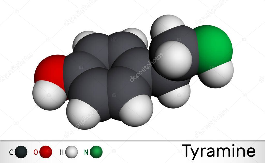 Tyramine, tyramin molecule. It is monoamine compound derived from tyrosine. Molecular model. 3D rendering