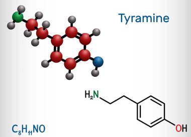 Tyramine, tyramin molekülü. Tyrosine 'den türetilmiş monoamin bileşiği. Yapısal kimyasal formül ve molekül modeli. Vektör illüstrasyonu