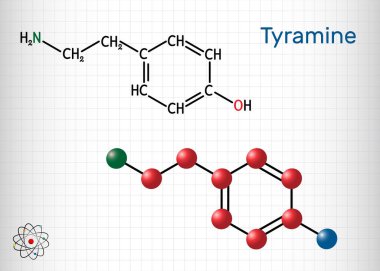 Tyramine, tyramin molekülü. Tyrosine 'den türetilmiş monoamin bileşiği. Yapısal kimyasal formül ve molekül modeli. Kafesteki bir kağıt parçası. Vektör illüstrasyonu