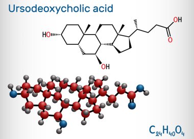 Ursodeoksikolik asit, ursodiol, UDCA molekülü. Kolelithias, safra kesesi iltihabı tedavisinde kolesterol ve kolesterol olarak kullanılır. Yapısal kimyasal formül, molekül modeli. Vektör illüstrasyonu