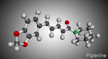 Piperine, C17H19NO3 molekülü. Piper Nigrum bitkisinden izole edilmiş bir alkaloittir. Bitki metaboliti, besin bileşeni, insan kanı serumu metaboliti rolünde. Moleküler model. 3B görüntüleme