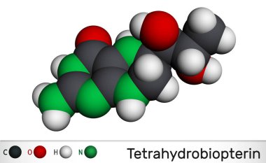 Tetrahydrobiopterin, BH4, THB, sapropterin molekülü. Koenzim, tanı faktörü, insan metaboliti ve kofaktör rolünde. Moleküler model. 3B görüntüleme
