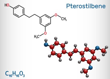Pterostilbene, durgun molekül. Metabolit, antioksidan, antinoplastik faktör ve nörotransmiter olarak bir rolü var. Yapısal kimyasal formül ve molekül modeli. Vektör illüstrasyonu