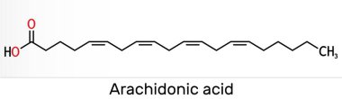 Arachidonik asit, AA, ARA molekülü. Doymamış omega-6 yağ asididir. Prostaglandin, tromboxanes ve lukotrien biyosentezinin öncüsüdür. İskelet kimyasal formülü. Görüntü