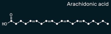 Arachidonik asit, AA, ARA molekülü. Doymamış omega-6 yağ asididir. Prostaglandin, tromboxanes ve lukotrien biyosentezinin öncüsüdür. Koyu mavi arka planda iskelet kimyasal formül. Görüntü