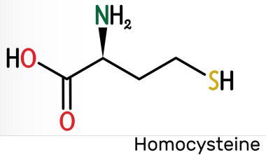 Homosteine biyoişaret molekülü. Protein içermeyen sülfür içeren amino asit. İskelet kimyasal formülü. Görüntü