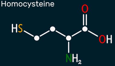 Homosteine biyoişaret molekülü. Protein içermeyen sülfür içeren amino asit. Koyu mavi arka planda iskelet kimyasal formül. Görüntü