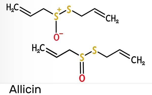 Allicin Sulfoxidová Molekula Tato Sloučenina Vykazuje Antibakteriální Antimykotické Vlastnosti Chemický — Stock fotografie
