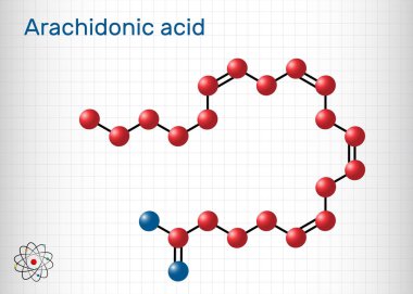 Arachidonik asit, AA, ARA molekülü. Doymamış omega-6 yağ asididir. Prostaglandin, tromboxanes ve lukotrien biyosentezinin öncüsüdür. Kafesteki bir kağıt parçası. Vektör illüstrasyonu 