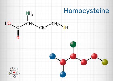 Homosteine biyoişaret molekülü. Protein içermeyen sülfür içeren amino asit. Yapısal kimyasal formül ve molekül modeli. Kafesteki bir kağıt parçası. Vektör illüstrasyonu