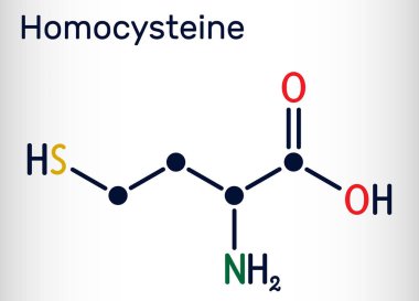 Homosteine biyoişaret molekülü. Protein içermeyen sülfür içeren amino asit. İskelet kimyasal formülü. Vektör illüstrasyonu