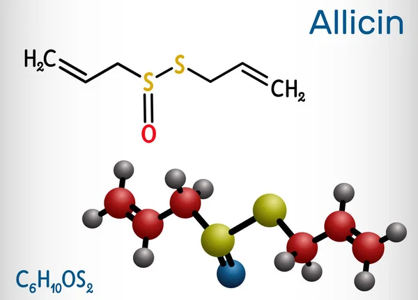Allicin Molécula Sulfóxido Este Compuesto Exhibe Propiedades Antibacterianas Antifúngicas Fórmula — Vector de stock